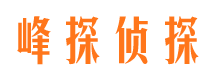 东洲市私人侦探